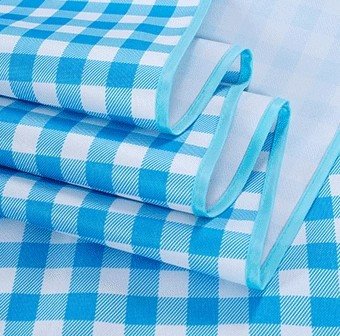 family picnic blanket
